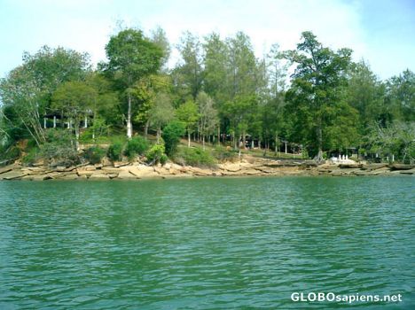 Postcard Fossil shell beach Krabi