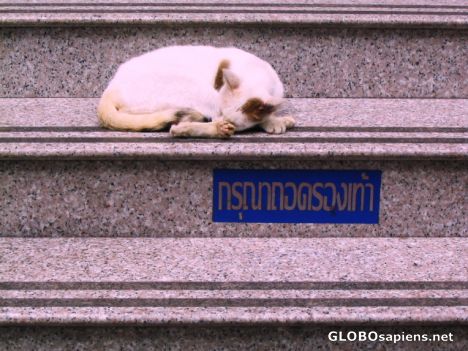 Postcard heavenly sleep