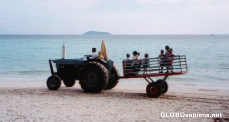 School Bus