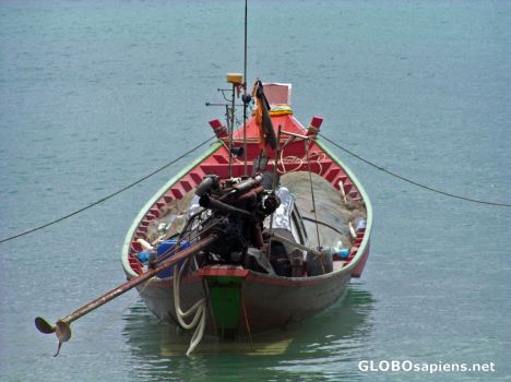 Postcard Fishing boat with serious attitude.
