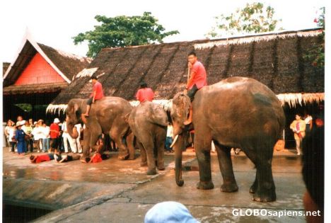 Postcard Thailand - Pattaya