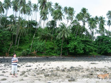 Postcard low tide