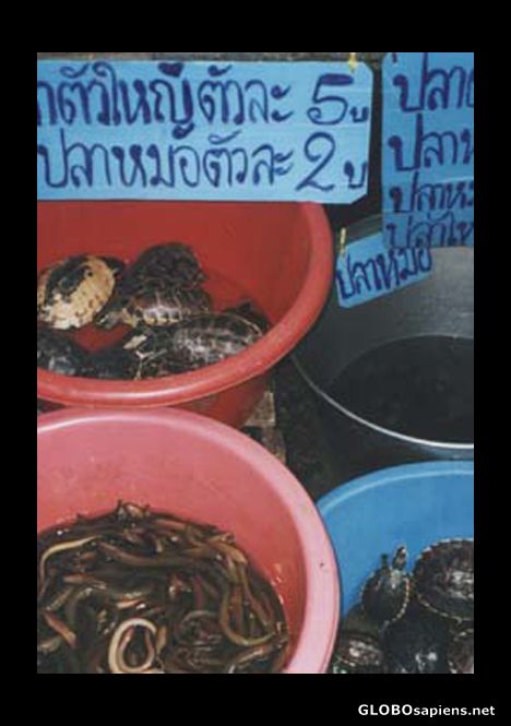 Postcard Bangkok Market.