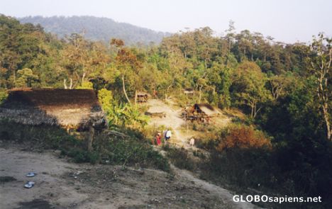 Postcard A little village lost in the jungle.