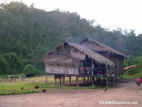 Postcard Bamboo Hut in the Thai Jungle