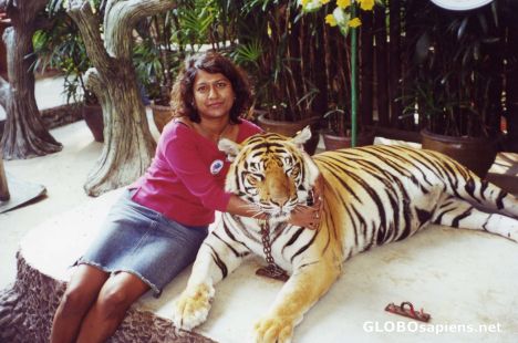 Postcard GJ & Tiger !