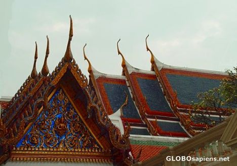 Postcard The roof