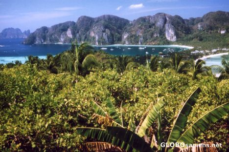 Postcard Ko Phi Phi