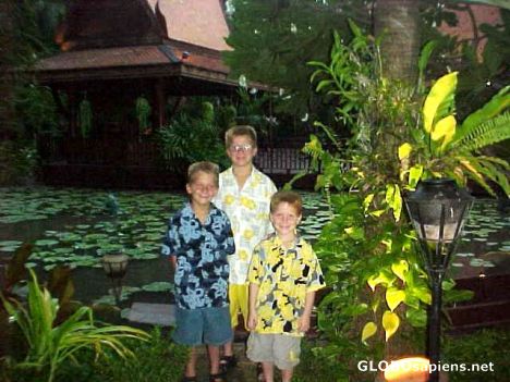 Postcard My 3 sons!