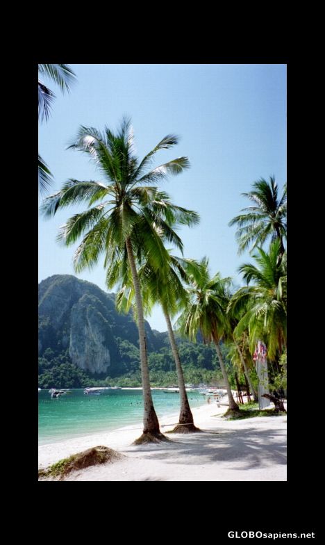 Postcard Beach in Ko Phi Phi Thailand