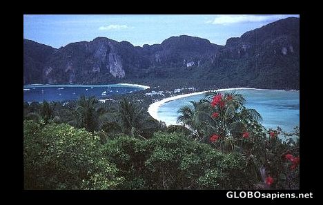 Postcard ko phi phi