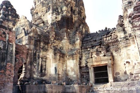 Postcard A Monkeys Palace