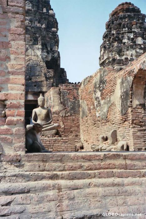 Postcard Seated Alike