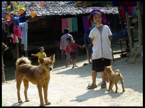 Postcard Karen Hill Tribe Children & Dogs