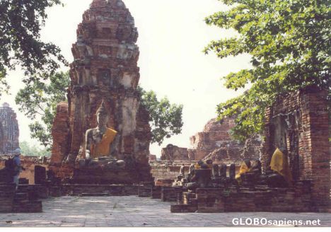Postcard Dressed buddhas