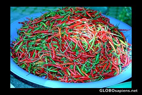 Postcard Chilli, chilli burning bright...