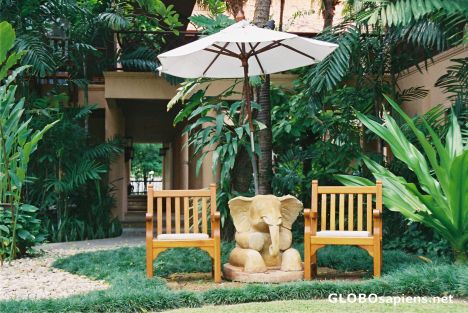 Postcard Anantara resort garden