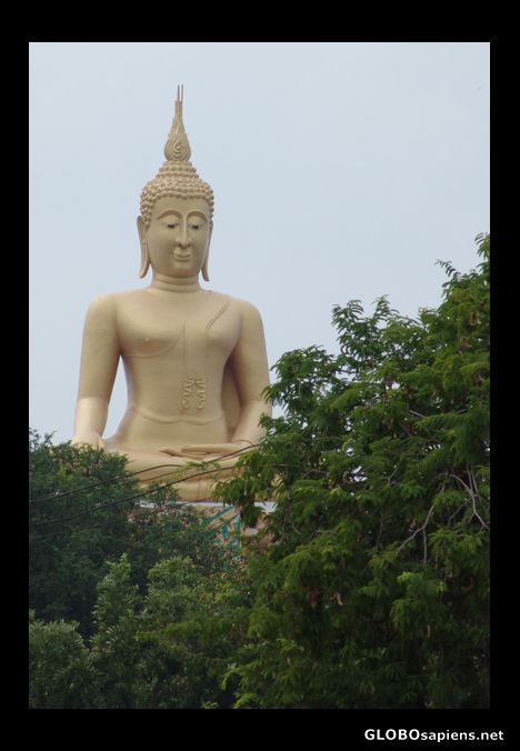 Postcard Big Buddha