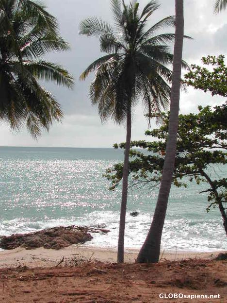 Postcard Ko Samui Thailand
