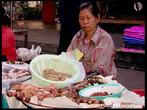 Postcard Poultry Seller Mae Sot Market