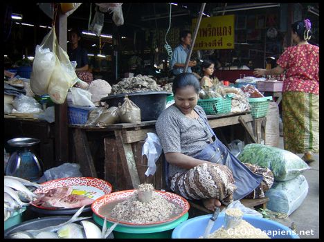 Postcard Fish Seller at Mae Sot Market