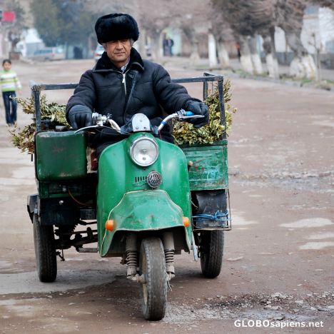 Postcard The driver