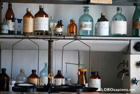 Postcard Veterinary laboratory