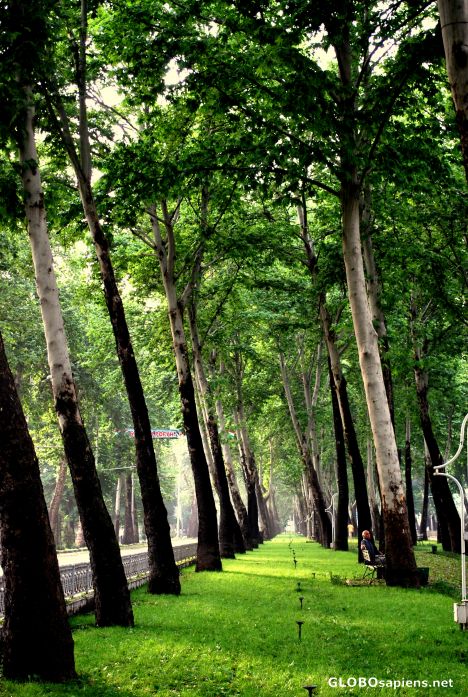 Postcard Spring in Dushanbe