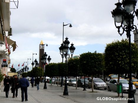Postcard The centre of Tunis