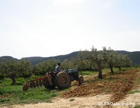Postcard Ploughing the land