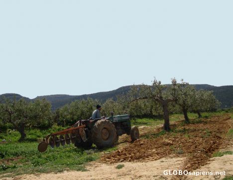 Postcard Ploughing the land