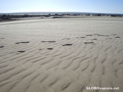 Postcard Sand impressions