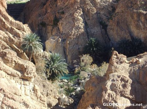 Postcard Chebika - oasis in the Atlas mountains