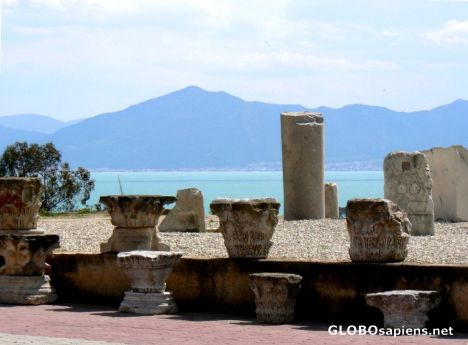 Postcard Looking back a Tunis