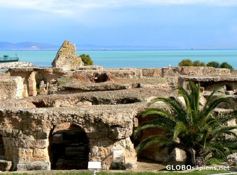 Postcard Thermes d'Antoni