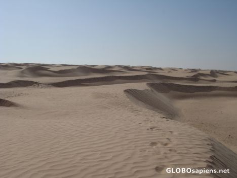 Postcard Sahara