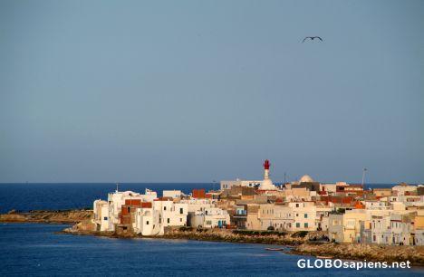 Postcard Mahdia (TN) - Cap d'Afrique
