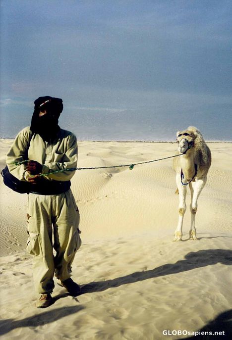 Postcard Young Camel and the Apprentice