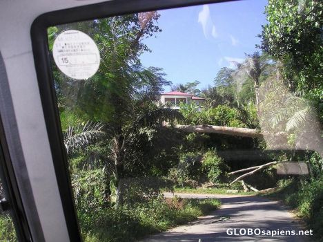 Postcard Xanana Gusmao's House,Dare