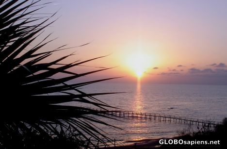 Postcard Sunset in  March