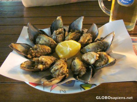 Postcard delicious stuffed mussels