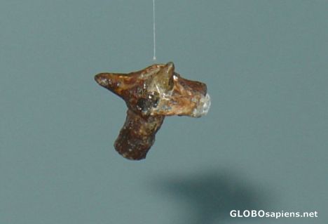 Postcard collision of two bullets during the Canakkale War