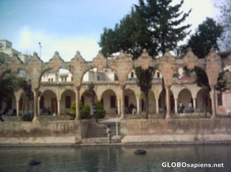 Postcard Urfa-Lake of fishes