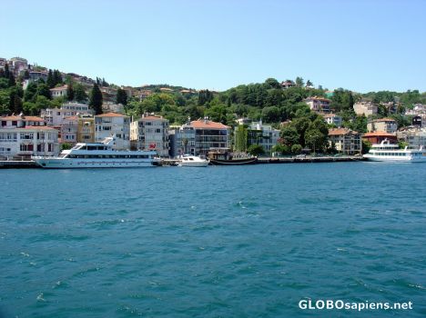 Postcard Bebek