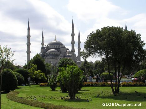 Postcard Blue mosque