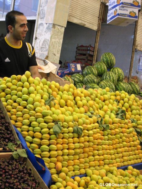 Postcard famous apricots of Malatya