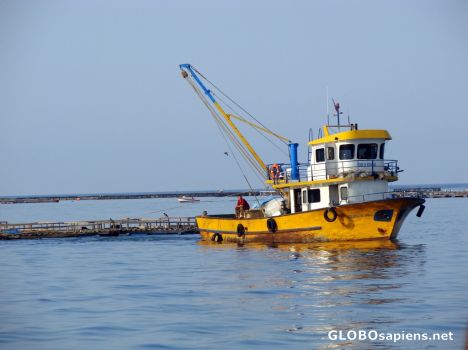 Postcard fish boat floating near the fish farm