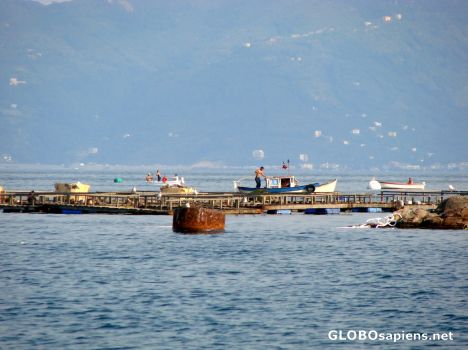 Postcard fish farm on the sea