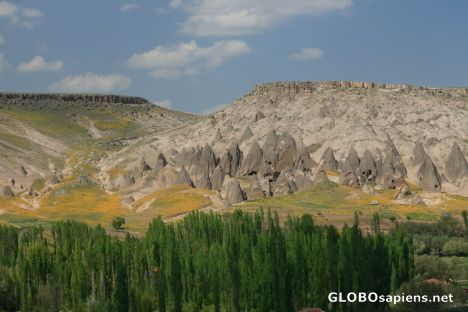 Postcard Conical tuffs of Kapadokya