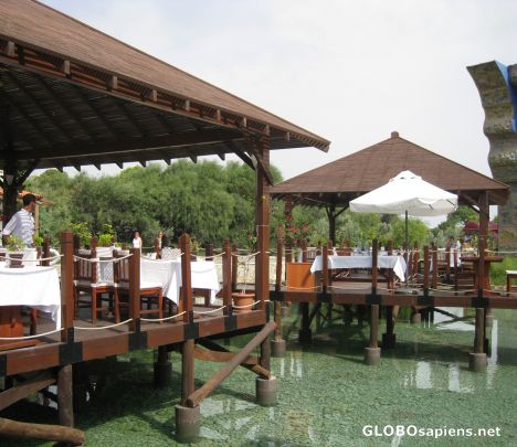 Postcard water testaurant